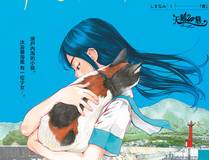 林星辰
